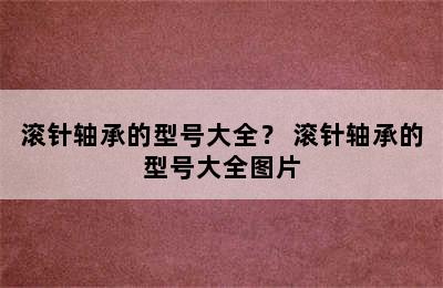 滚针轴承的型号大全？ 滚针轴承的型号大全图片